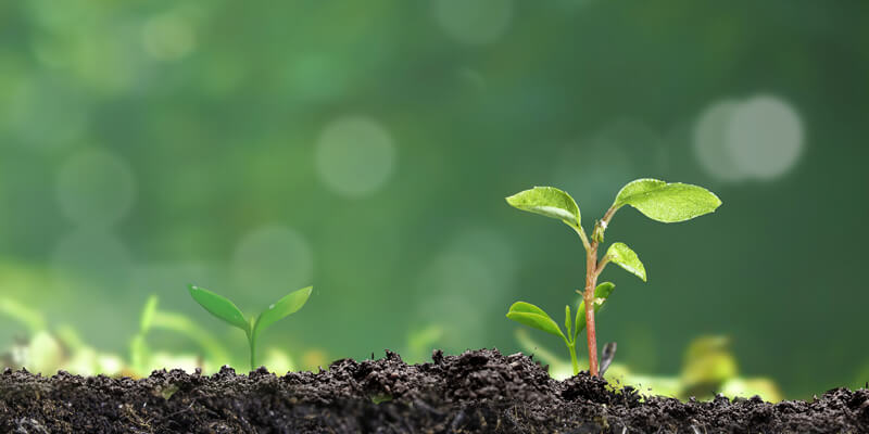 農(nóng)業(yè)與土壤檢測(cè)