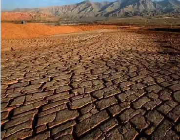 酸性土壤如何改良？